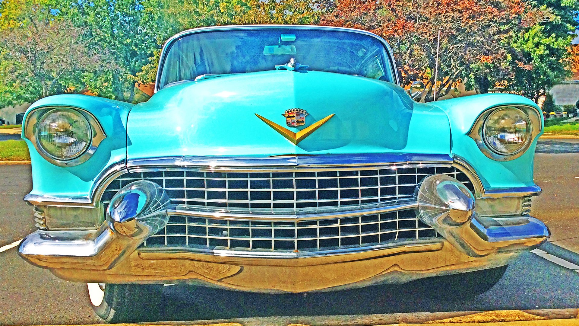 Car15