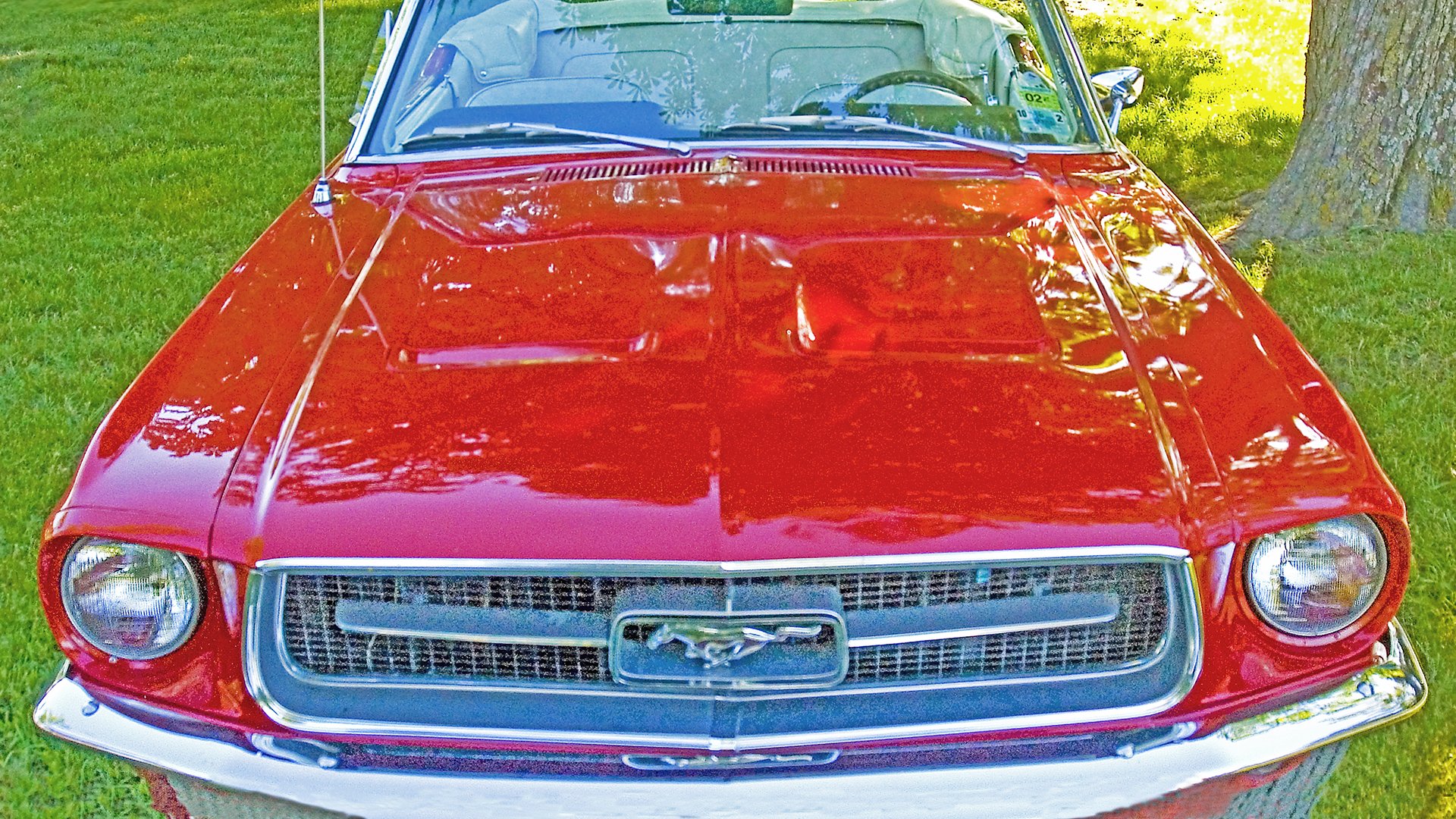 Car17