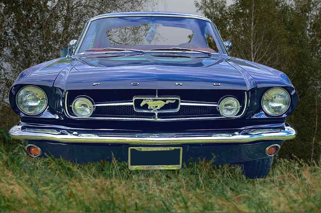 1965Mustangsmaller.jpg