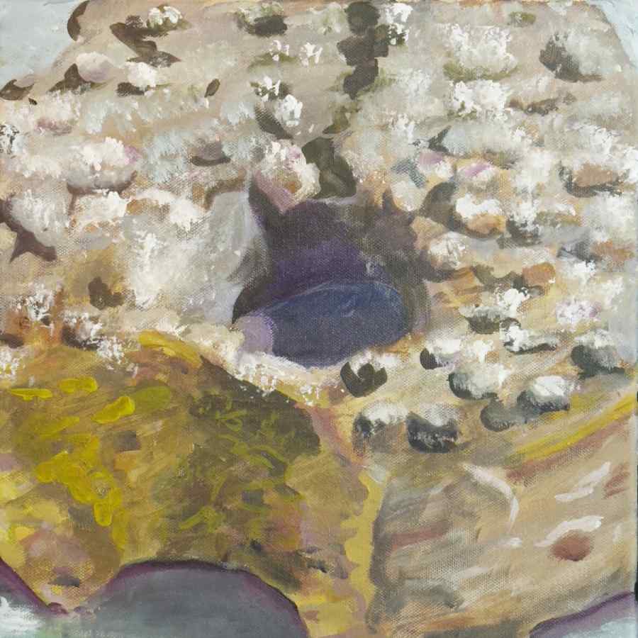 Crumb Donut